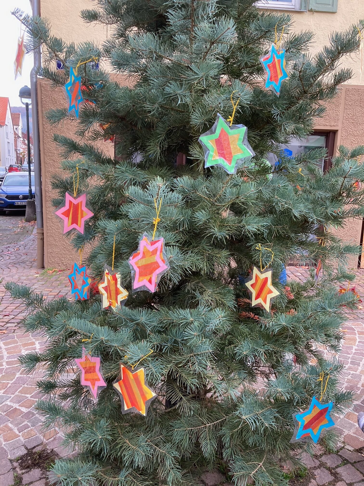 Tannenbaum1