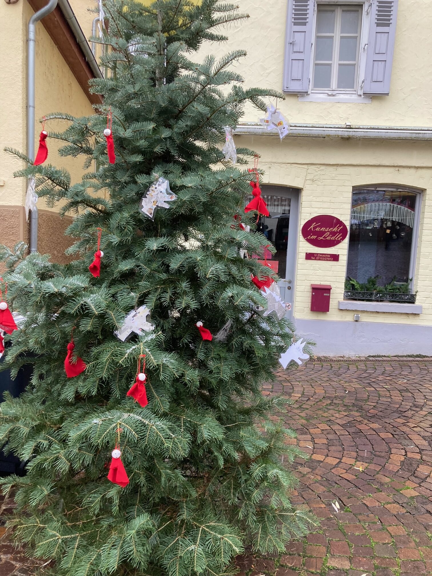 Tannenbaum 3