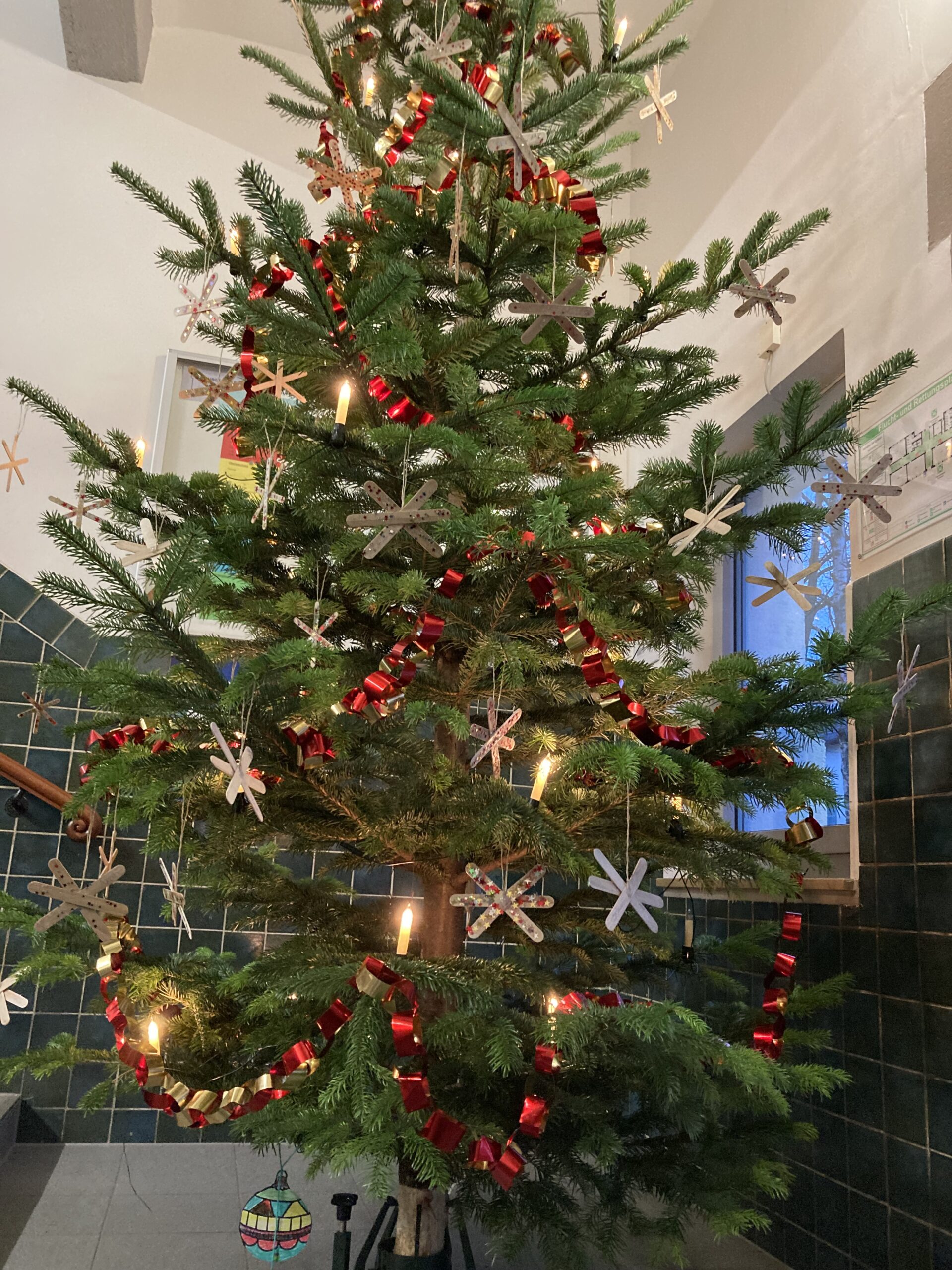 Tannenbaum