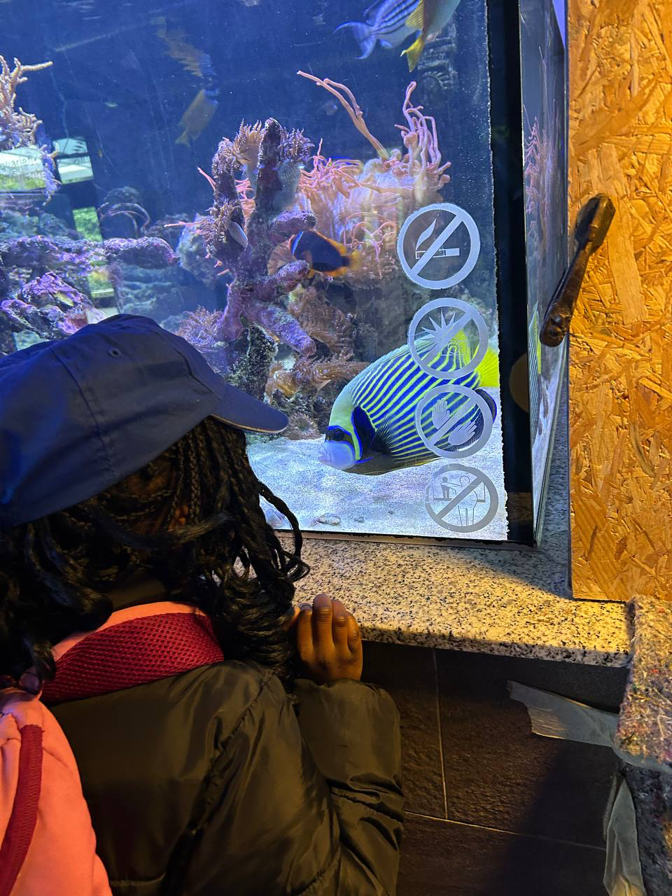 aquarium