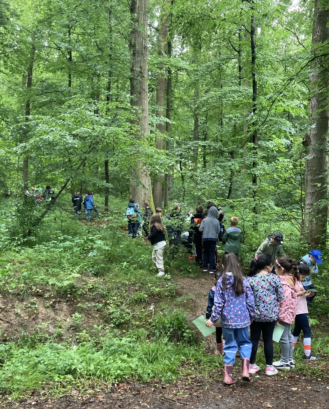 Wald 2